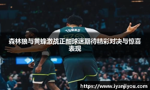 森林狼与黄蜂激战正酣球迷期待精彩对决与惊喜表现